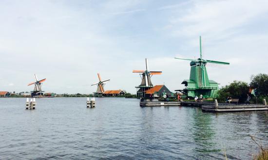 Đường sắt Hà Lan chính thức chạy bằng năng lượng từ gió 1