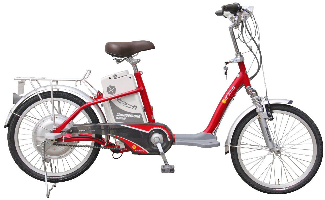 xe đạp điện 10
