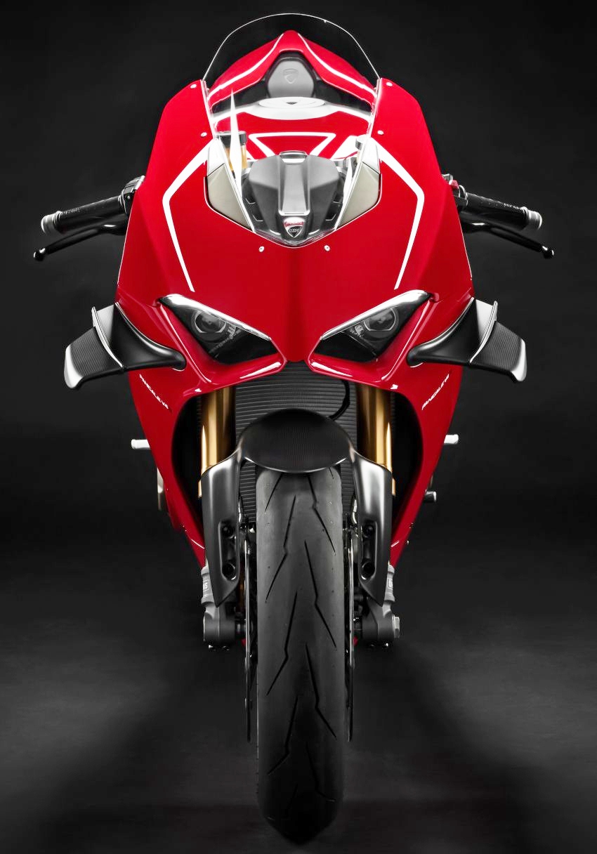 Ducati-Panigale-V4-R-2019-co-do-choi-moi-anh-4