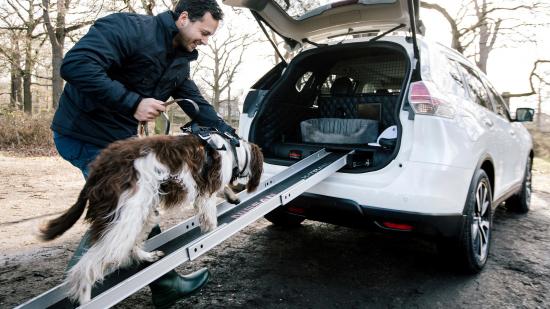 Nissan giới thiệu mẫu xe dành cho người yêu chó 6