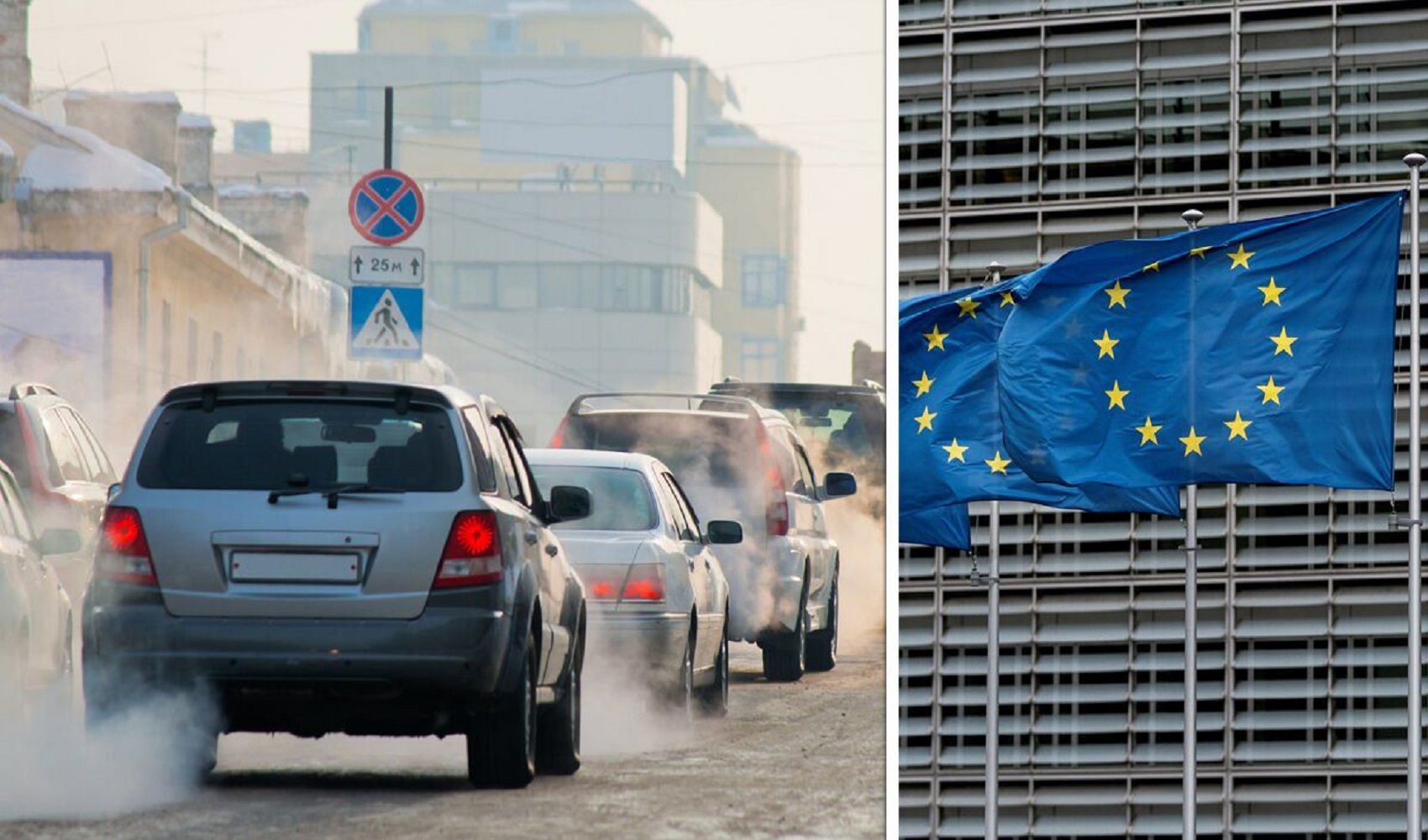 Kiến nghị EU dừng kế hoạch cấm xe chạy xăng, dầu