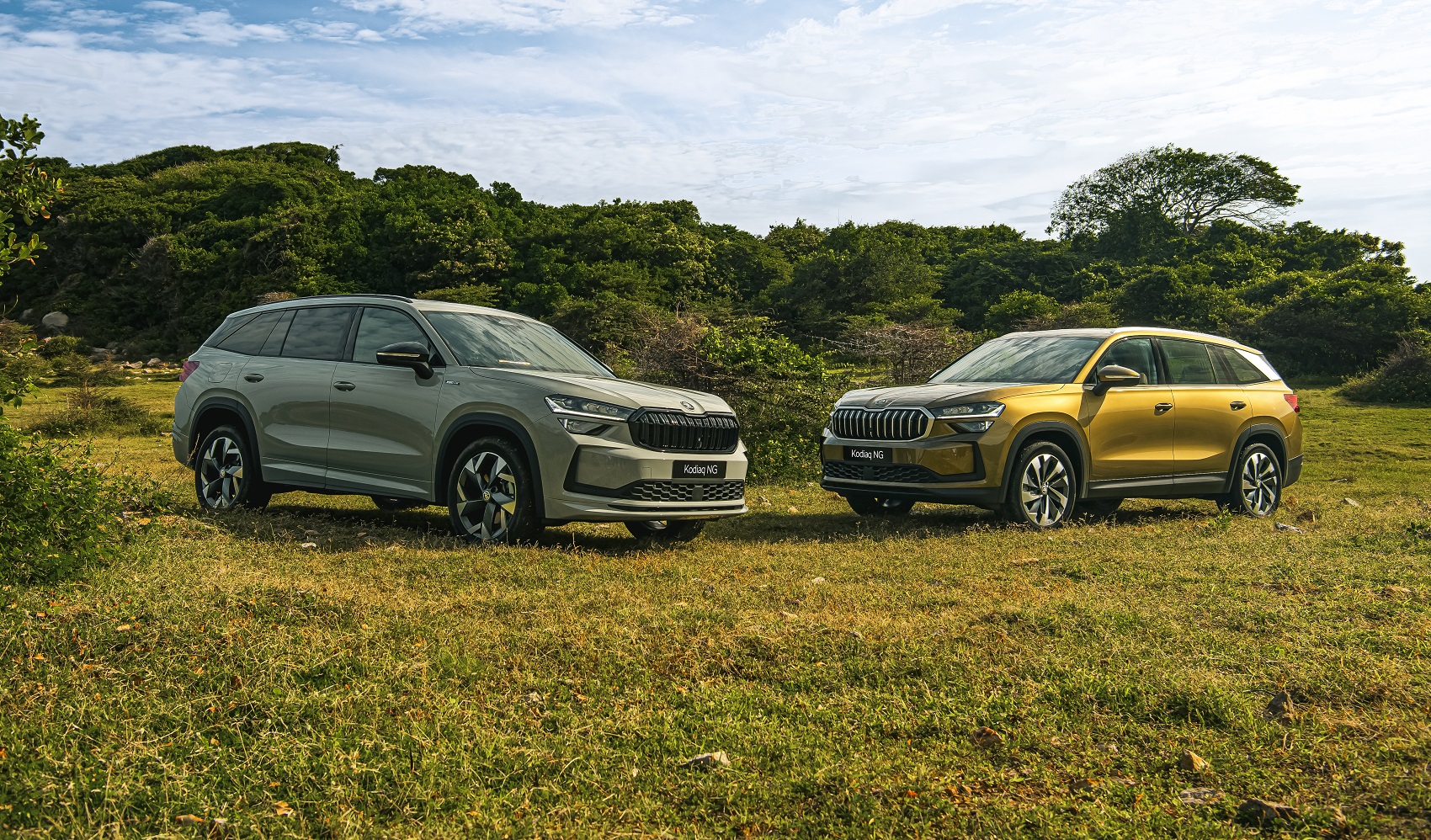 Skoda bán Kodiaq thế hệ mới với giá từ 1,45 tỷ đồng tại Việt Nam