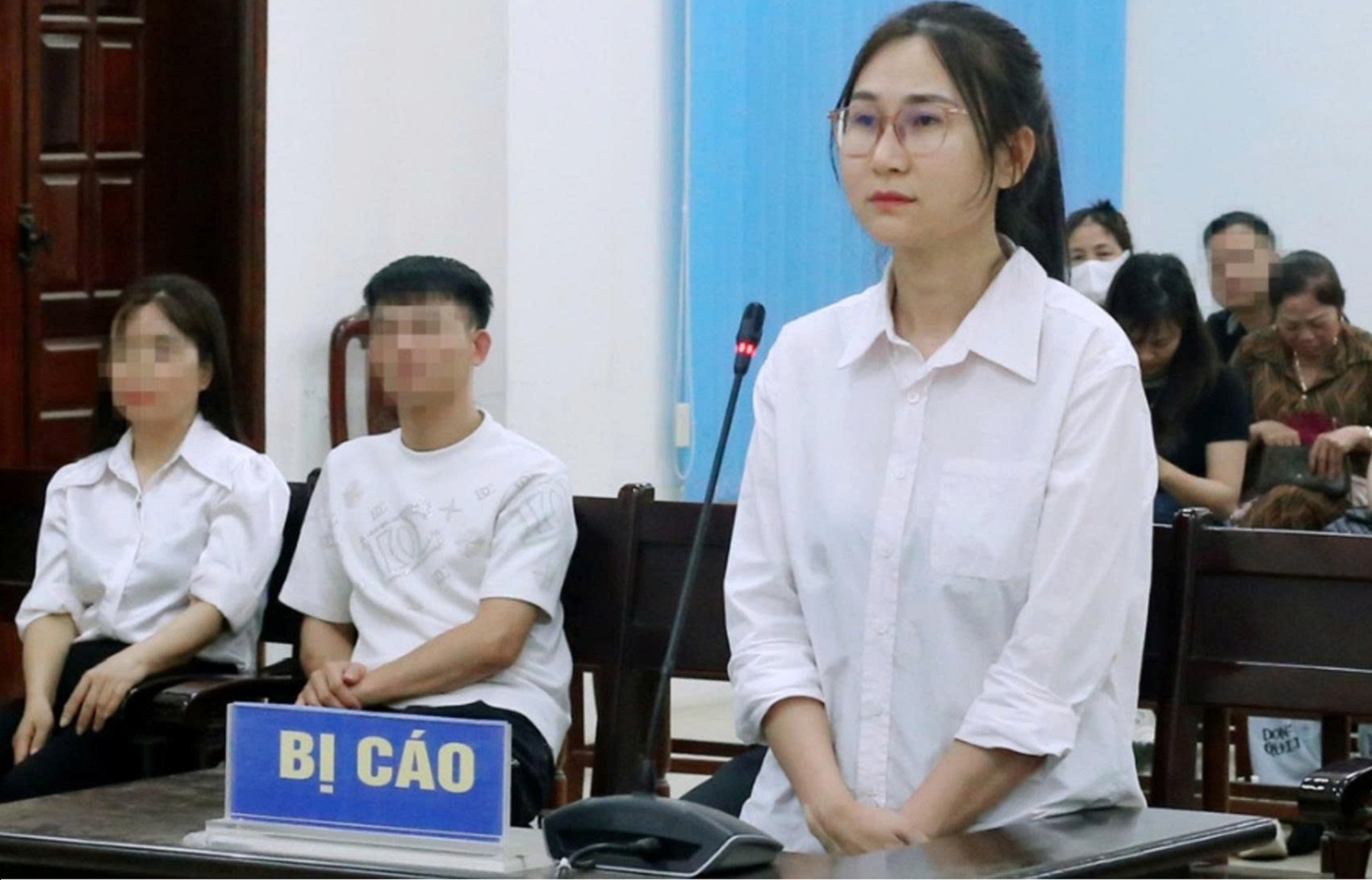 Nữ kế toán tại Bắc Ninh lĩnh án 26 năm tù vì lừa thuê 34 xe ô tô mang đi cầm cố