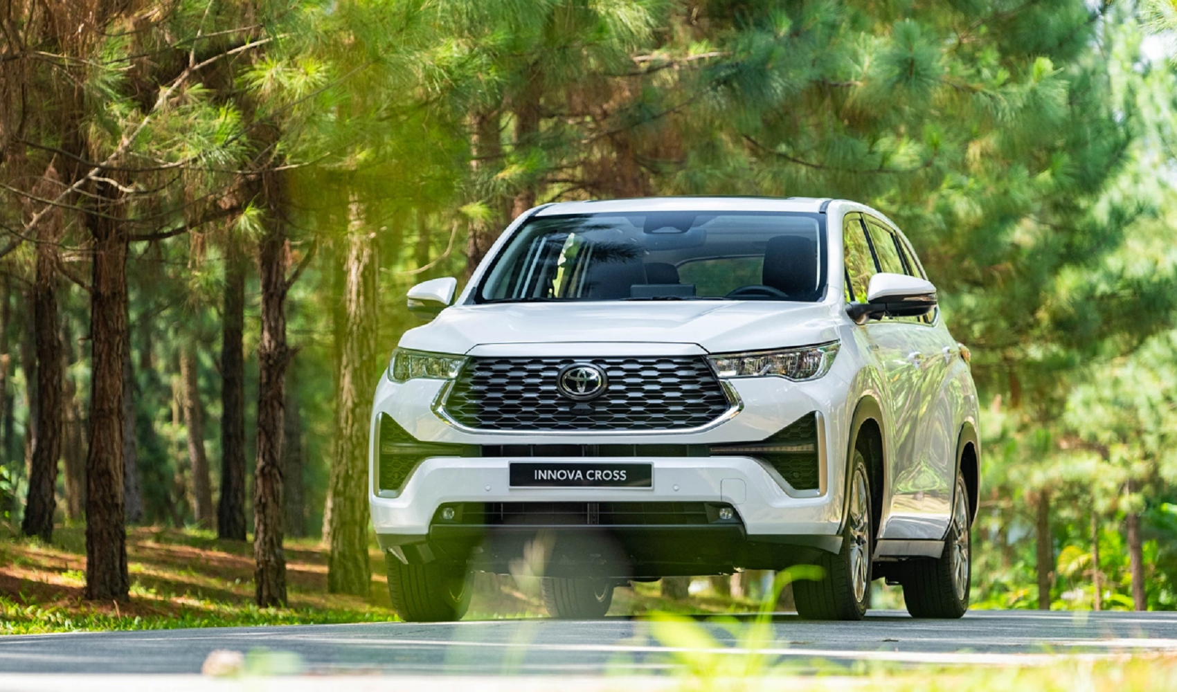 Phân khúc xe hybrid giảm tháng thứ hai liên tiếp, Toyota vẫn dẫn đầu