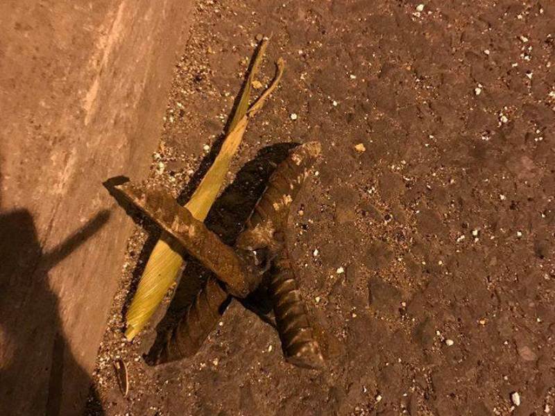 Bất bình khi nhiều ôtô dính “bẫy chông” trên quốc lộ 18